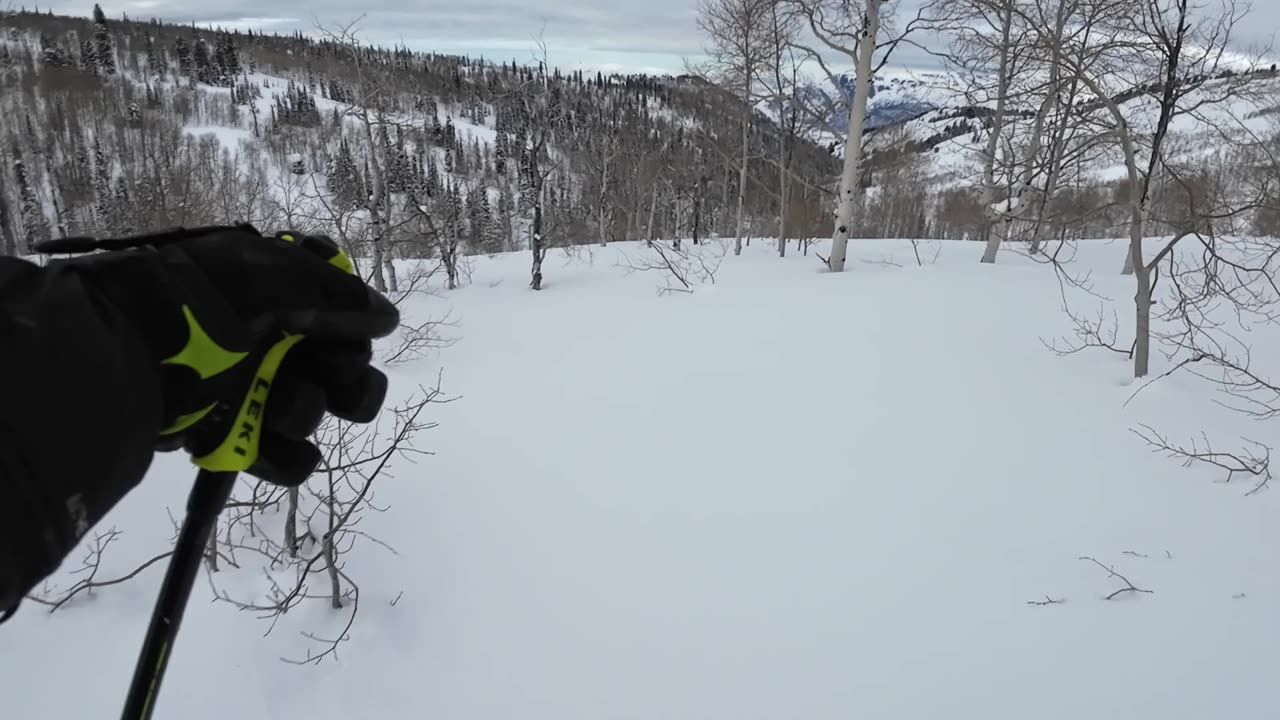 Feb 25th First run with a nap at the end,