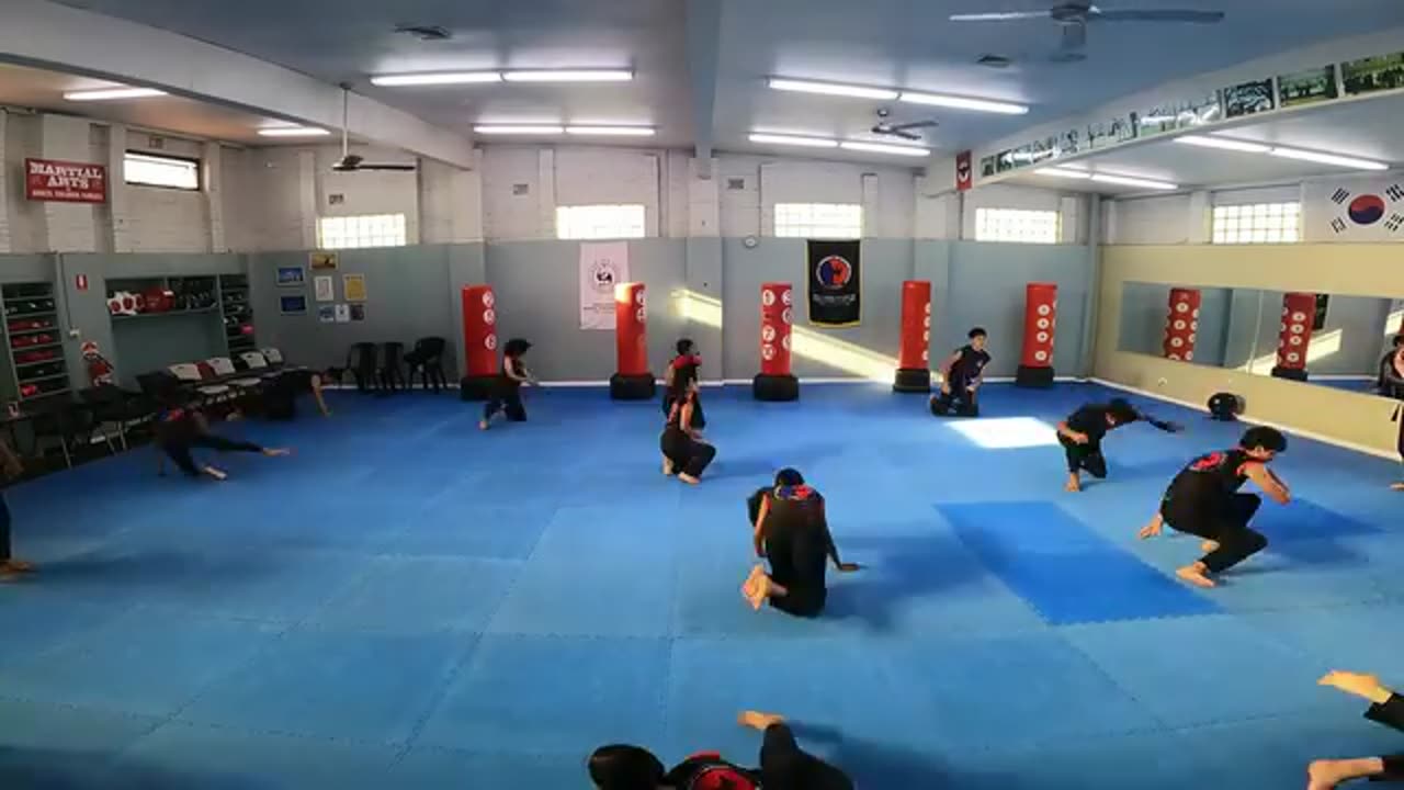 Hapkido