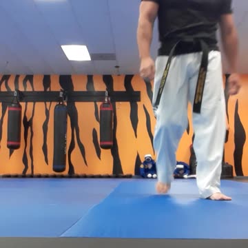 Spinning Heel Kick Into Jump Spinning Heel Kick