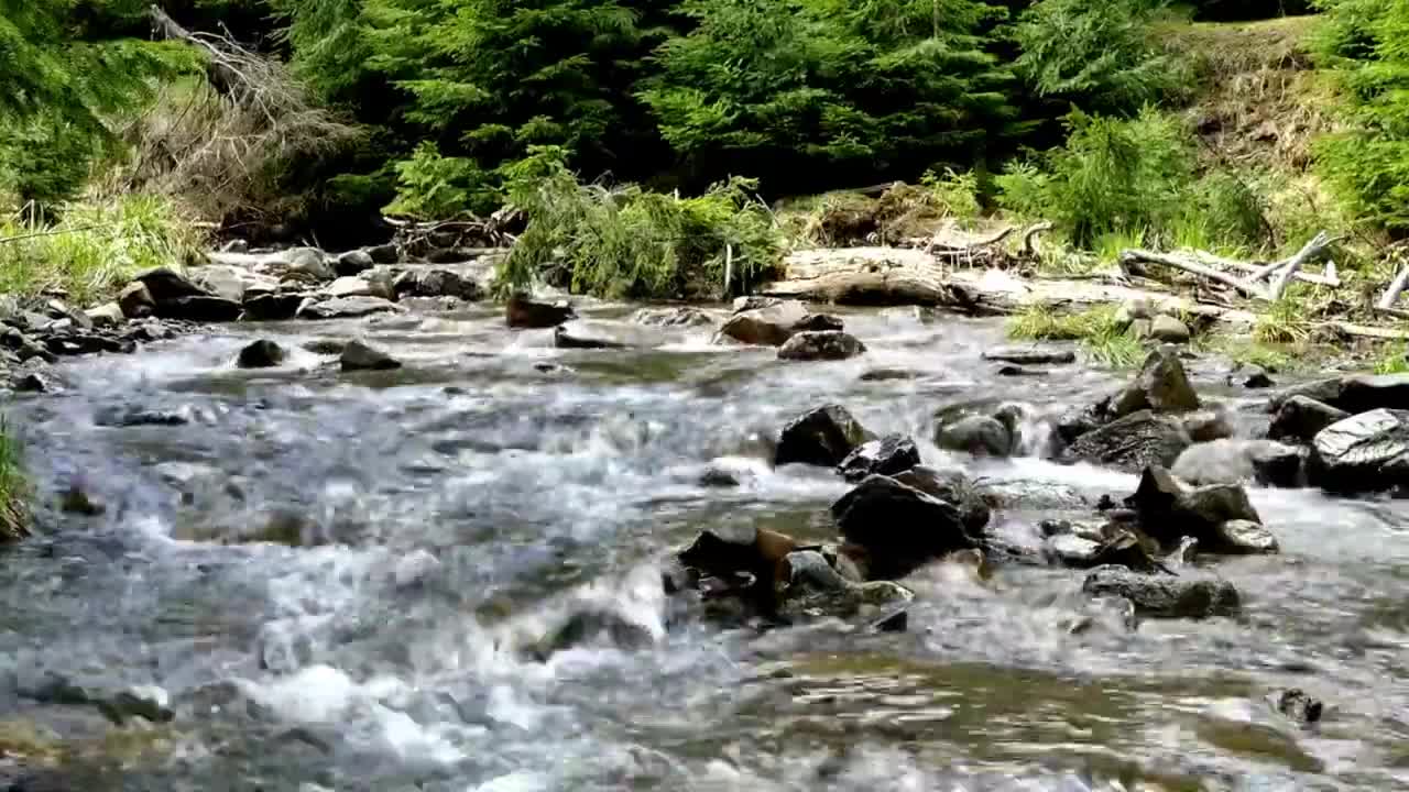 Relaxing Music | Sleeping, Meditation, Stress Relief | [5329] ⭐️