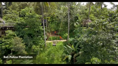 Best Bali Attractions