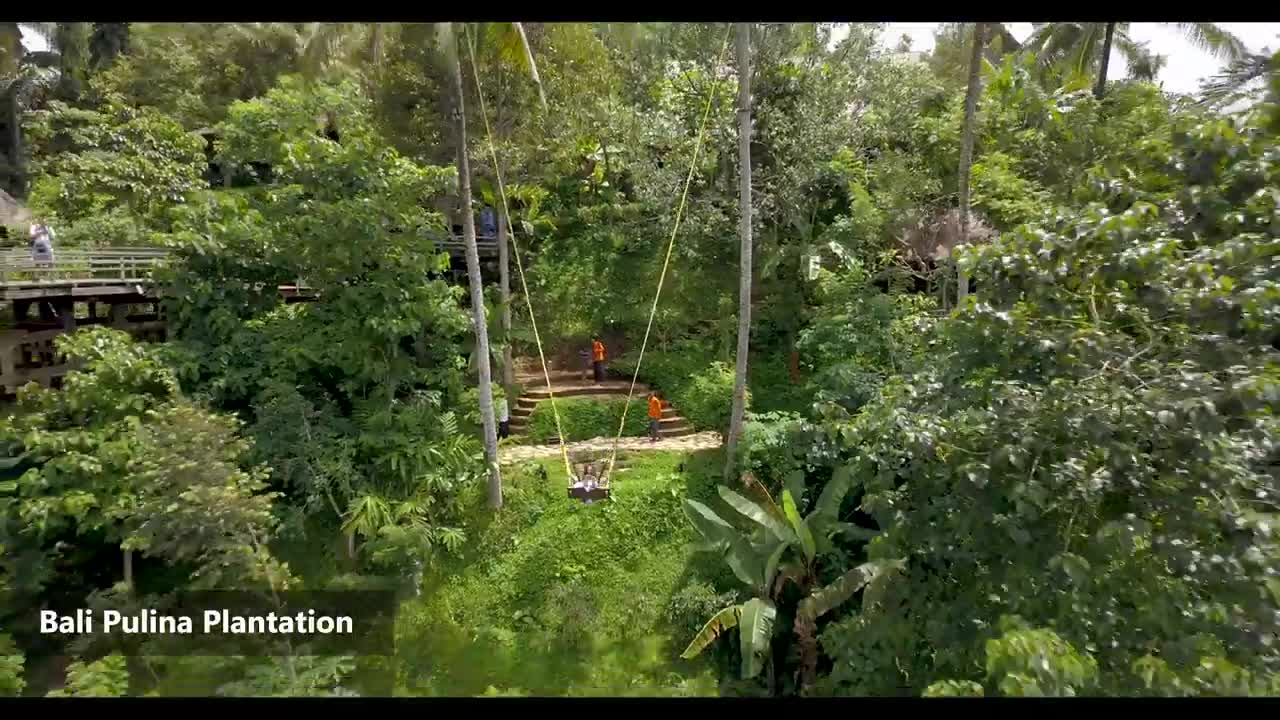 Best Bali Attractions