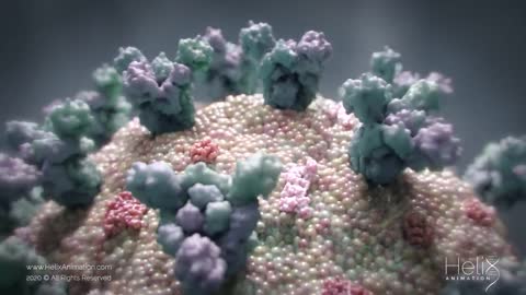 3D Animation_ SARS-CoV-2 virus transmission leading to COVID-19()