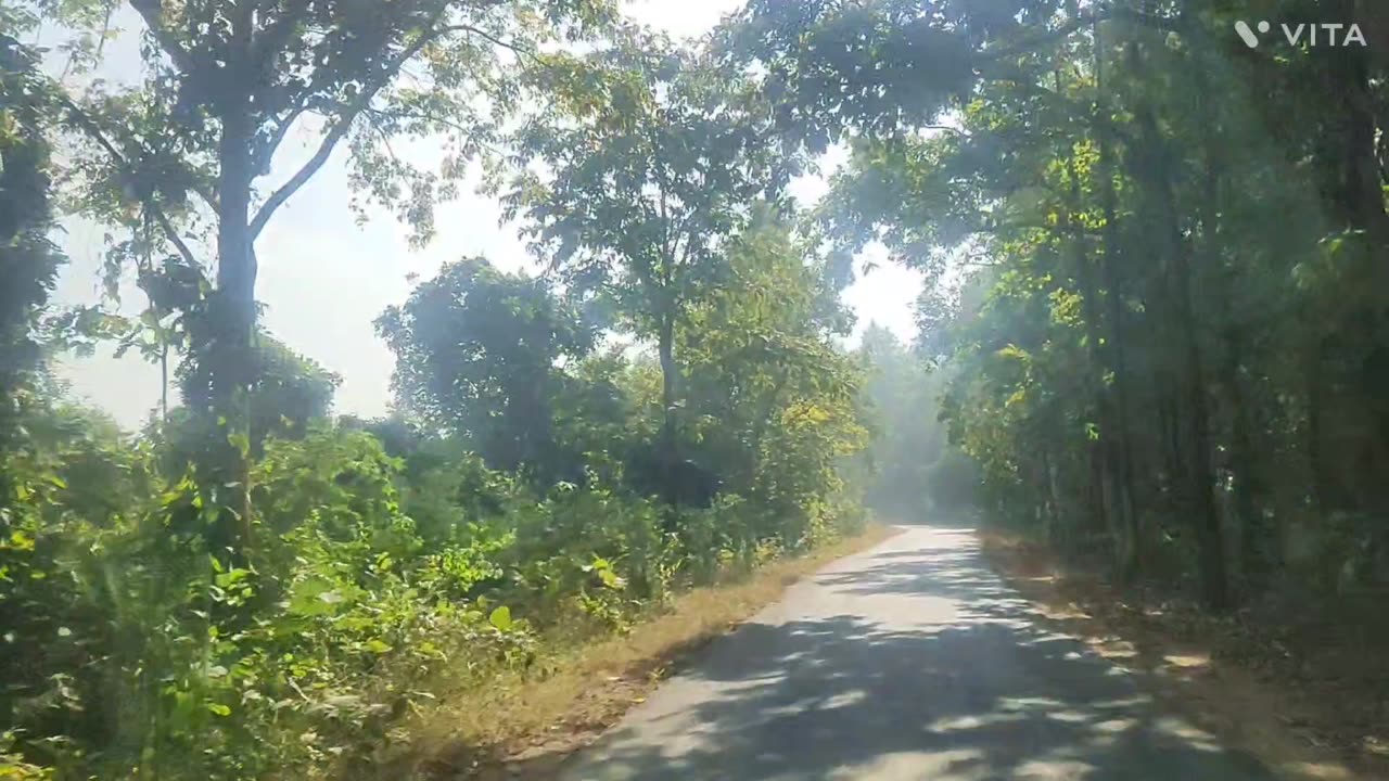 Odisha road 🛣️ trip