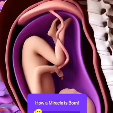 "Atheists, explain this, you reprobate minds!" Apologia Studios