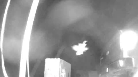 Fun with infrared security cameras.