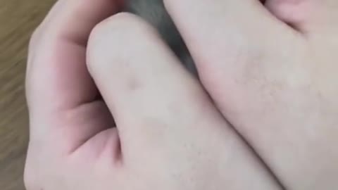 bird's nest reply dragon's claw fire fist output.