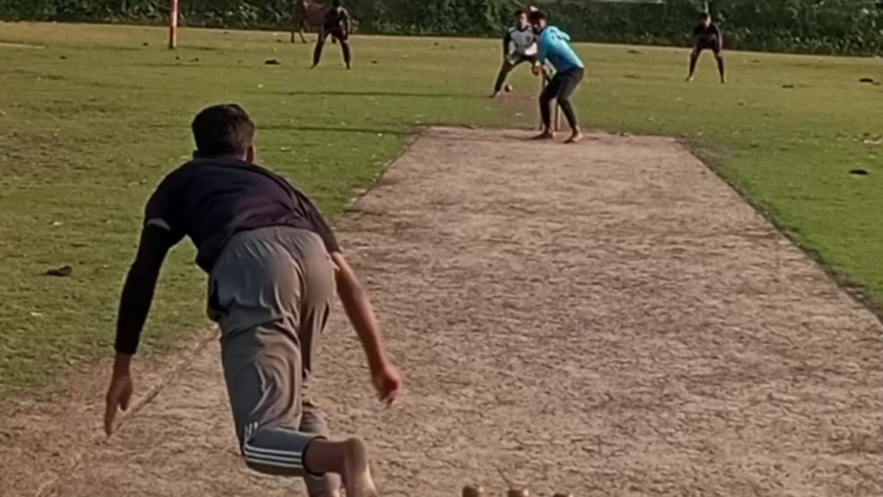 Big Cricket Match 🏏