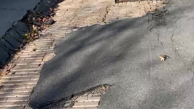 HOW ARE ROADS BY YOU?! 😂