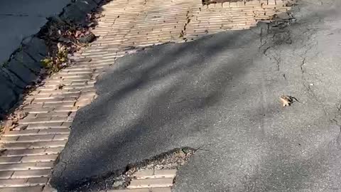 HOW ARE ROADS BY YOU?! 😂