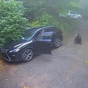 this video perfectly sums up 2021... just going for a nice trip to the grocery store and bang...2022