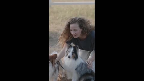 Cute dogs and cute cat