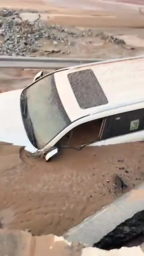 In Case You Ever Wondered What 4" of Rain In The Desert Does!