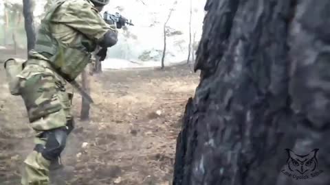 Forest firefight