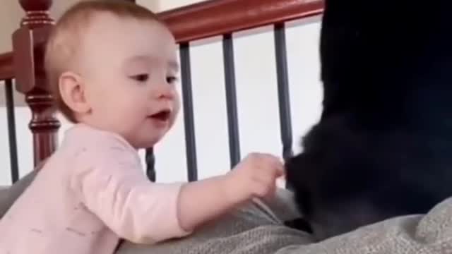 This is what will happen to your son if you leave with the cat
