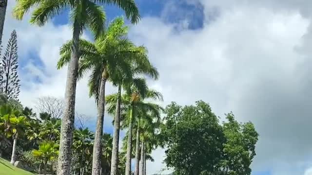 The blue sky and white clouds in Hawaii never let me down.