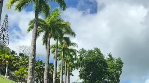 The blue sky and white clouds in Hawaii never let me down.