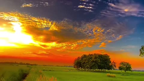 Village nature