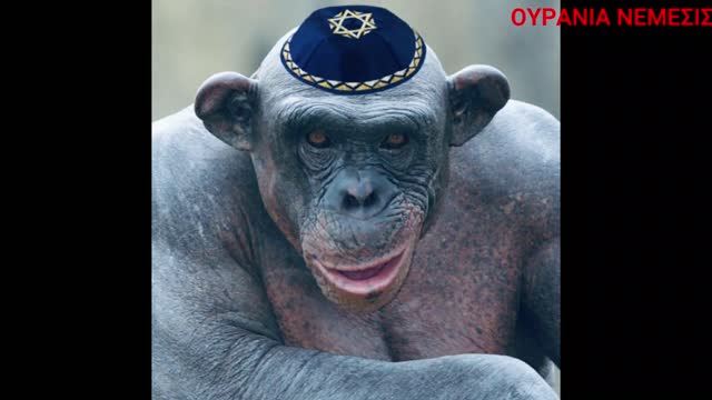 Ειστε απλα περαστικοι..... οσο θα υπαρχετε......