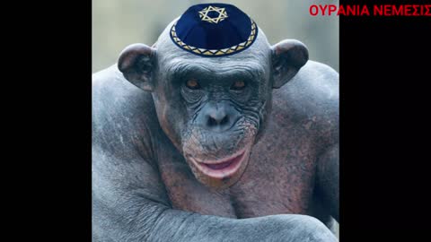 Ειστε απλα περαστικοι..... οσο θα υπαρχετε......