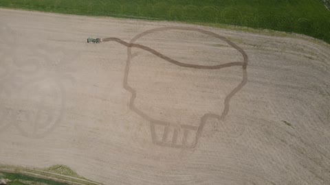 Tractor Driver 'Freehands' Corn Maze