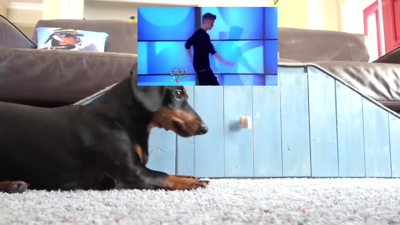 Crusoe's Submission for Ellen DeGeneres Super Bowl Commercial Challenge!