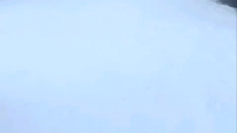 Fun Run