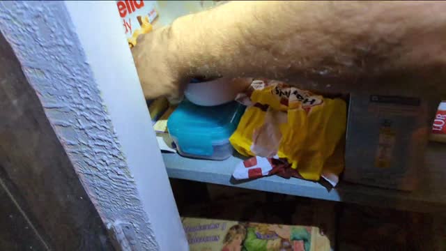 2022-11-07 (4) - Ananasg - Twitch Triskelina