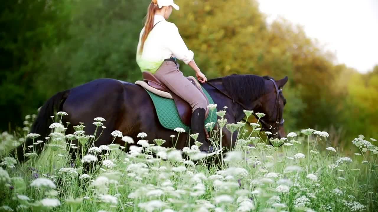 Young woman galloping on horse through the meadow at sunset