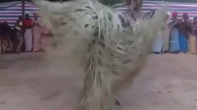 SOUND ON] How amazing is the Gambian religious ritual