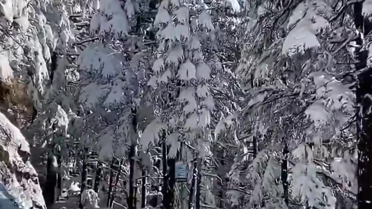 Sonw is very beautiful