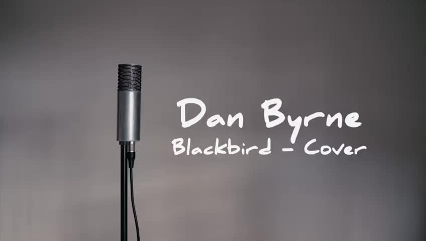 Dan Byrne - Blackbird