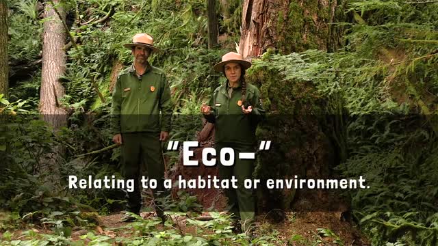 Ecosystem Olympic - Introduction to Ecosystems - Olympic National Park