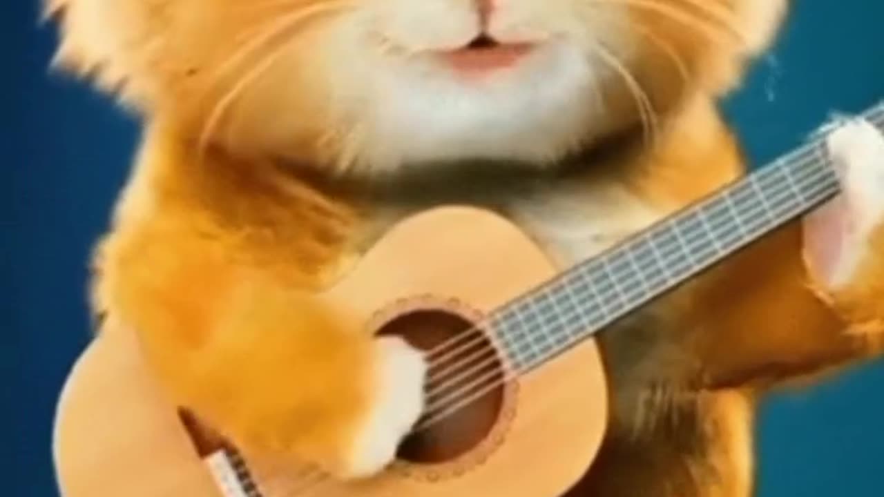 cute cat singing