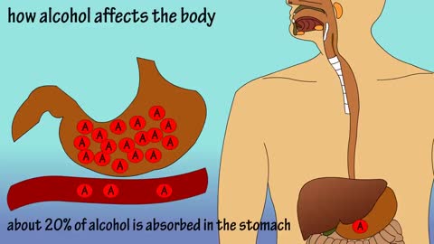 Alcohol - How Alcohol Affects The Body - What Causes A Hangover