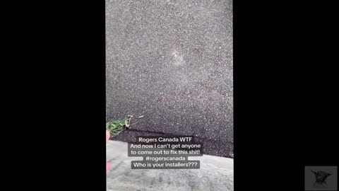 Looks Like The Internet Installer In Canada Are Kinda Retarded