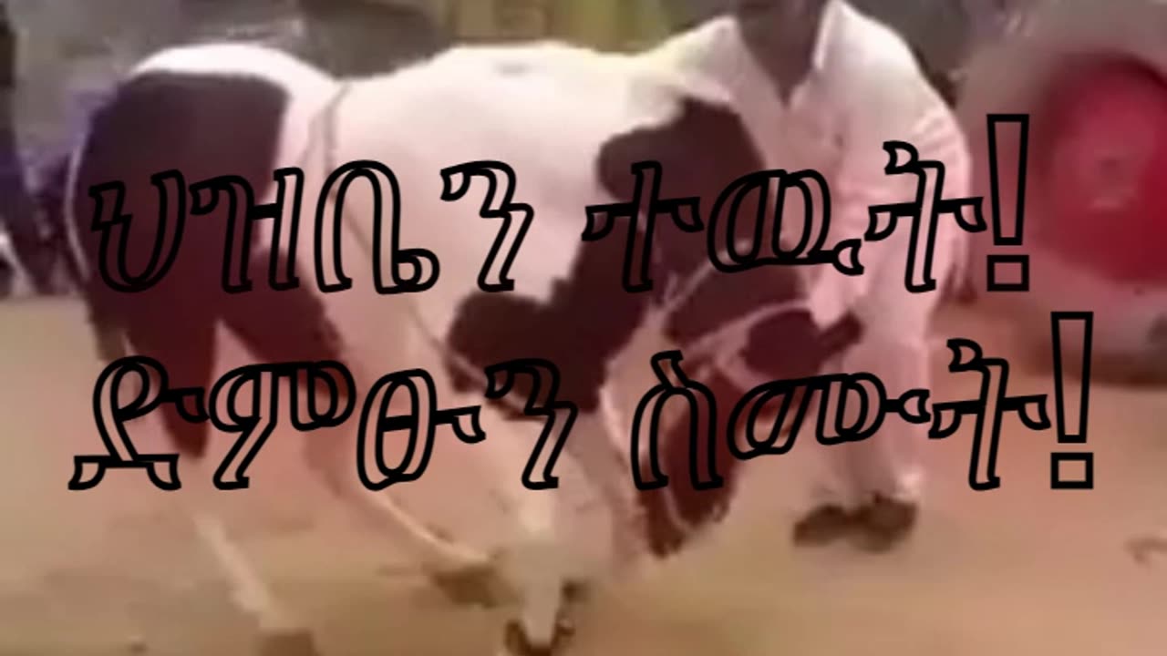 አብይ አህመድ ሰከን በል !