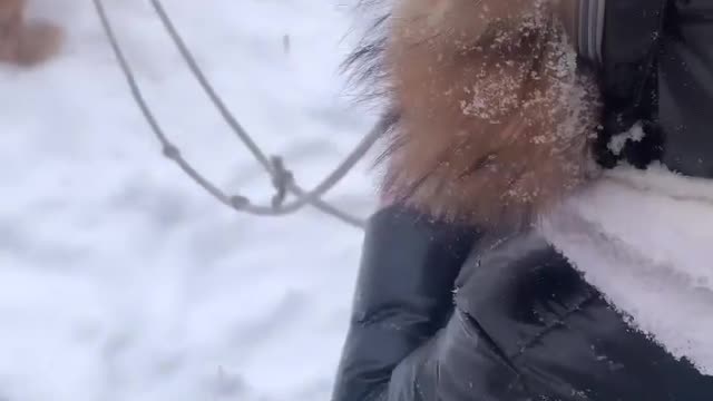 Pup Takes Little Tyke Down Snowy Slope