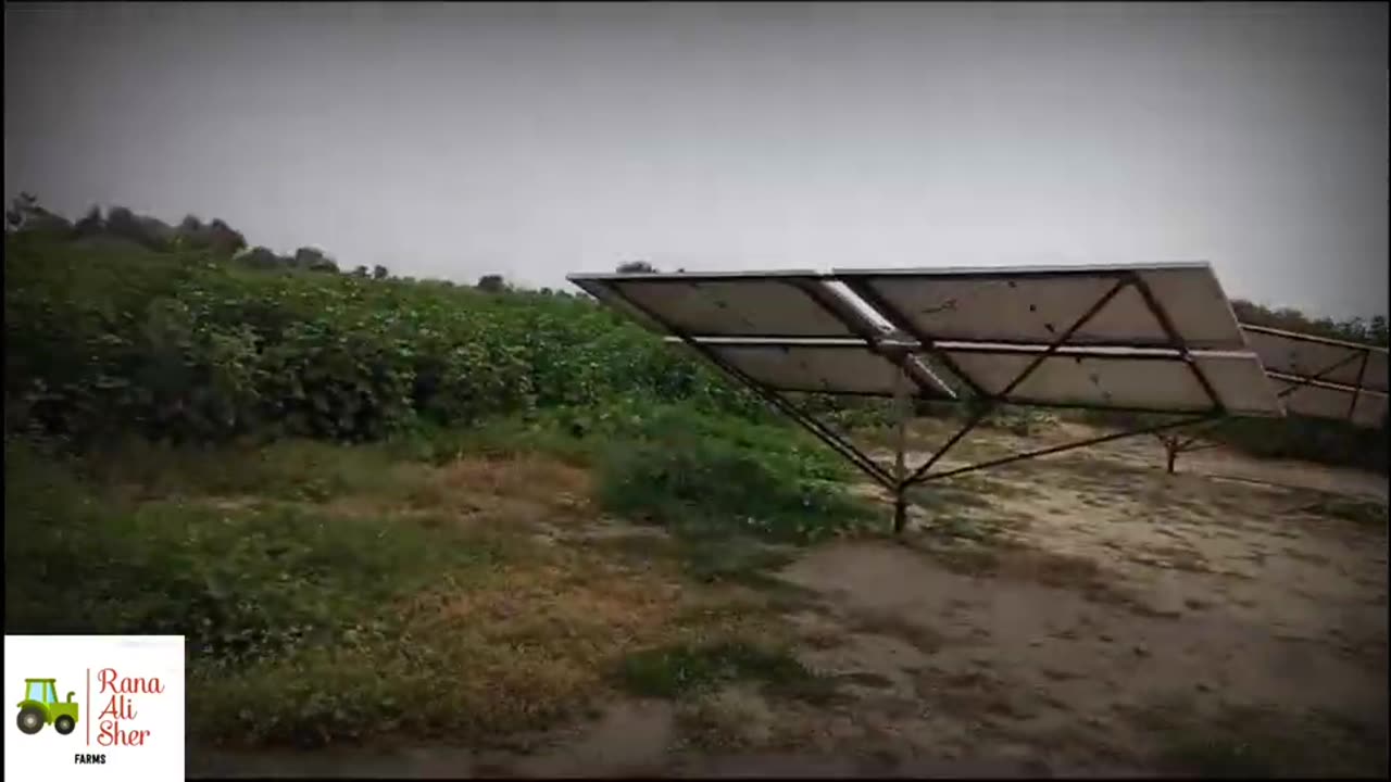 Solar Farmhouse in Pakistan