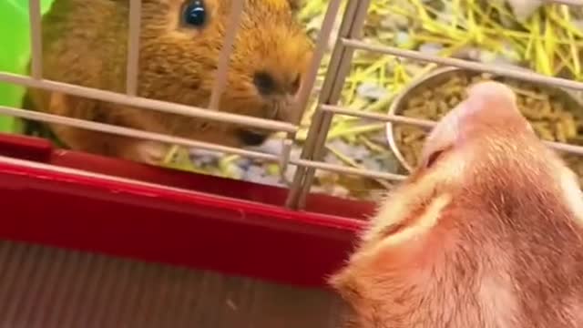 Visiting for the first time 🤩