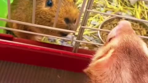 Visiting for the first time 🤩