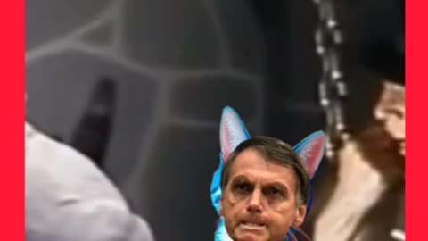 BRUXA DO 71 RECONHECEU BOLSONARO