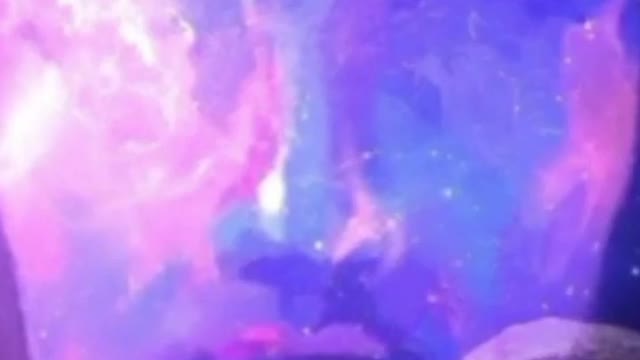 Shiv Panchakshr Stotra शिव पंचाक्षर स्तोत्र | Nagendraharaya Trilochanaya | नागेंद्रहाराय त्रिलोचनाय