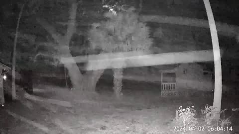 Orbs!