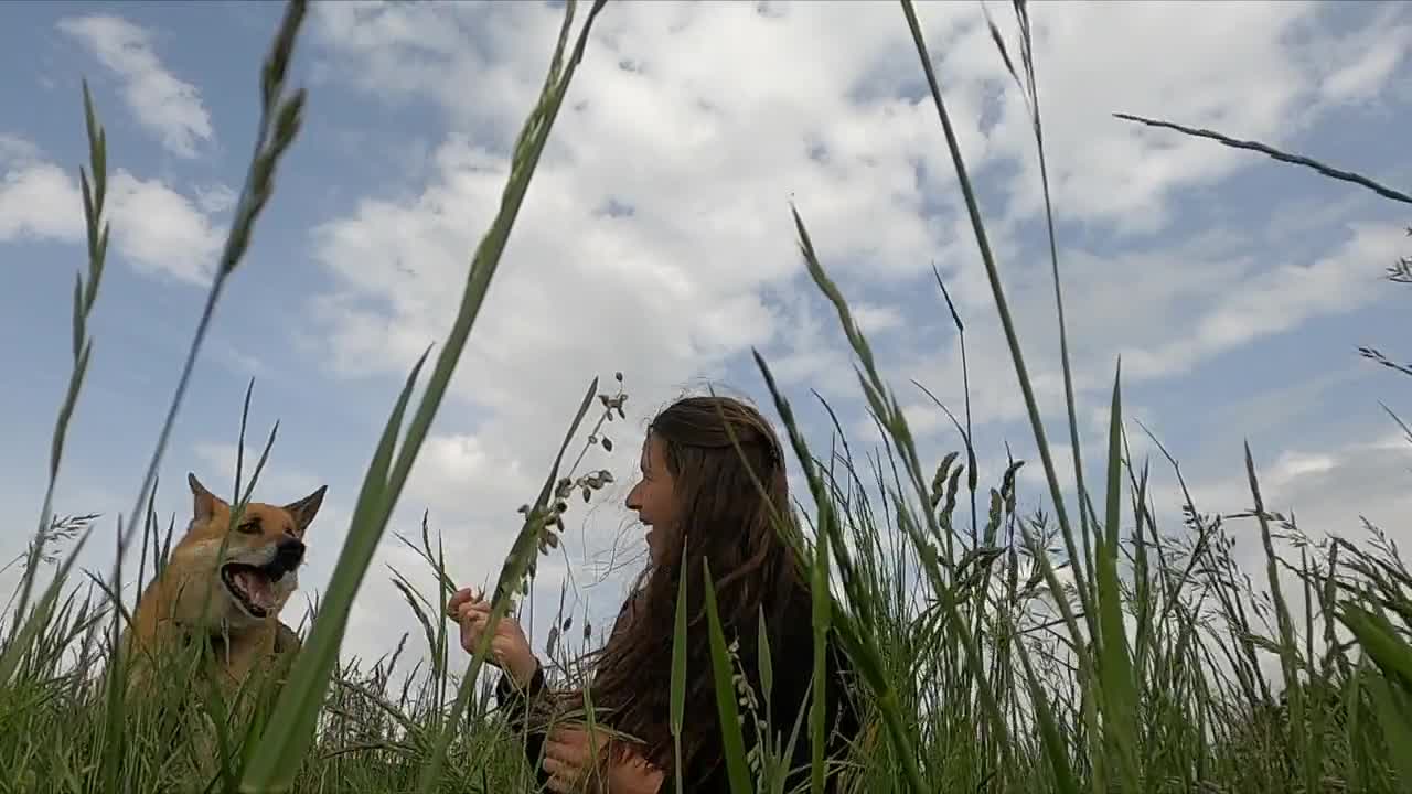 Woman Playing with Her Dog while Sitting on the Grass