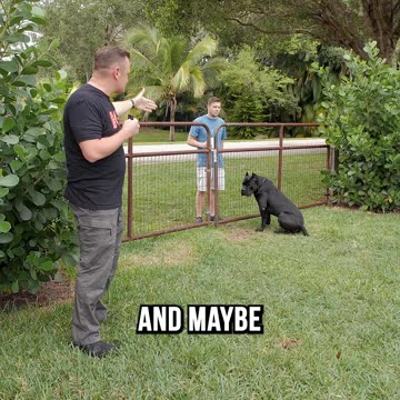 Greeting a Protection Dog 101