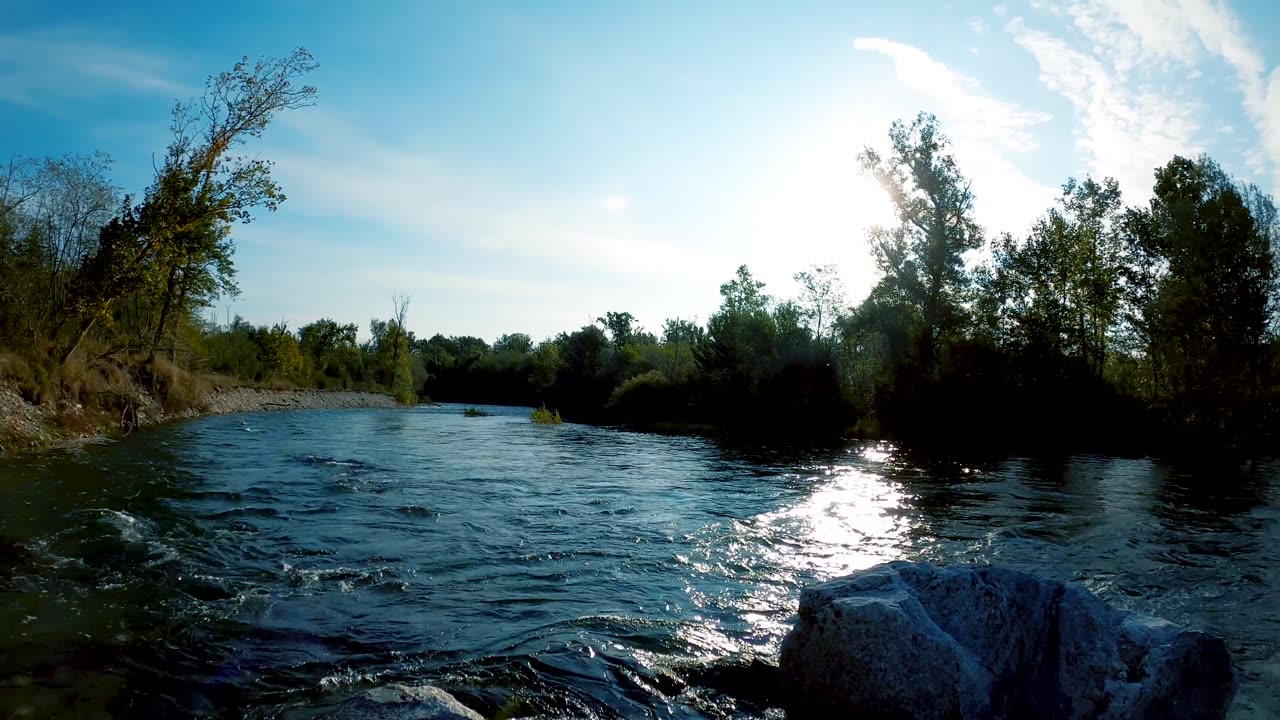 river #nature #river #shorts #short