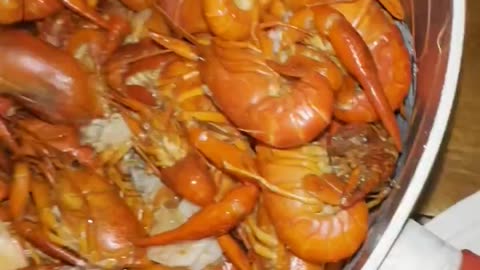 Seafood Boil Full Of Spiders