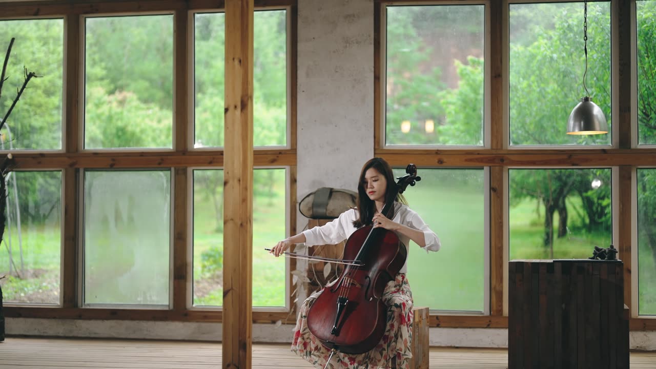 Asian Beauty Cello 20