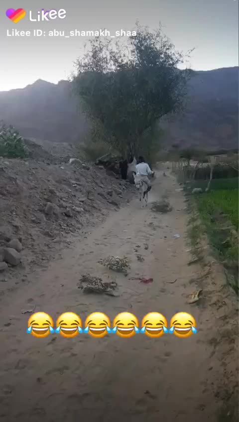 Funny videos 2023 Try Not laughter clips #funny #clips #song #man#girl #loeo#louo #lo #mems#momes